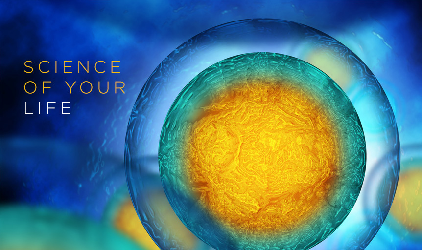 Science of Your Life Danielle ovum plate glass
