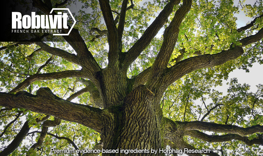 Robuvit science oak