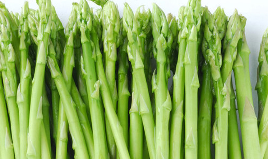 Maypro ETAS asparagus science