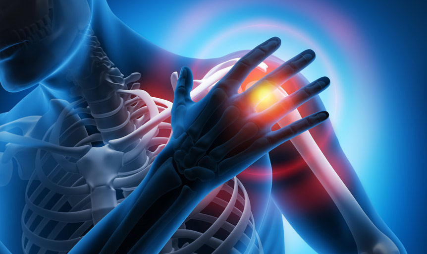 Stephen Lamm Pycnogenol inflammation