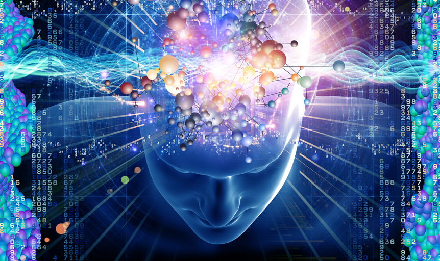 Pycnogenol brain fog